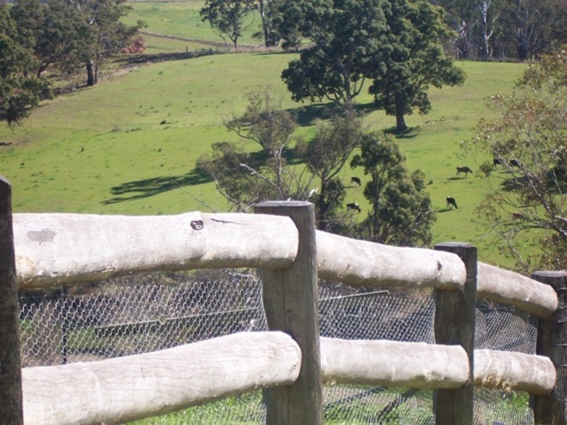 Kylo Candelo Rd, Candelo NSW 2550