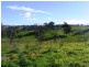 Lot 1 Herganhans Lane, Angledale NSW 2550