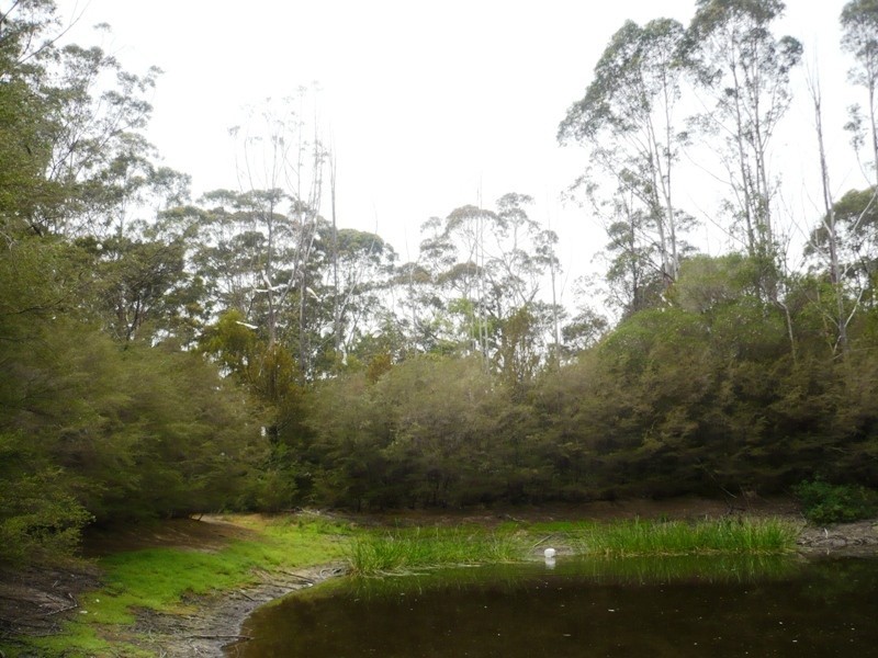 Lot 14 Broadwater Lane, Broadwater NSW 2549