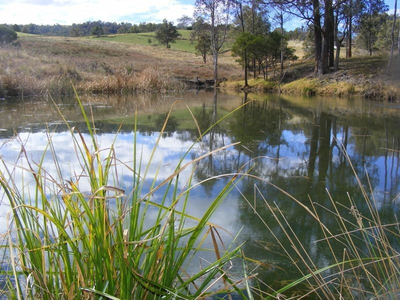 Lot 41 Batemans Road, Morans Crossing NSW 2550