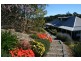 190 Black Range Rd, Bega NSW 2550