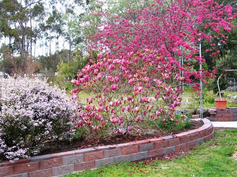 23 Penuca Rd, Wallagoot NSW 2550