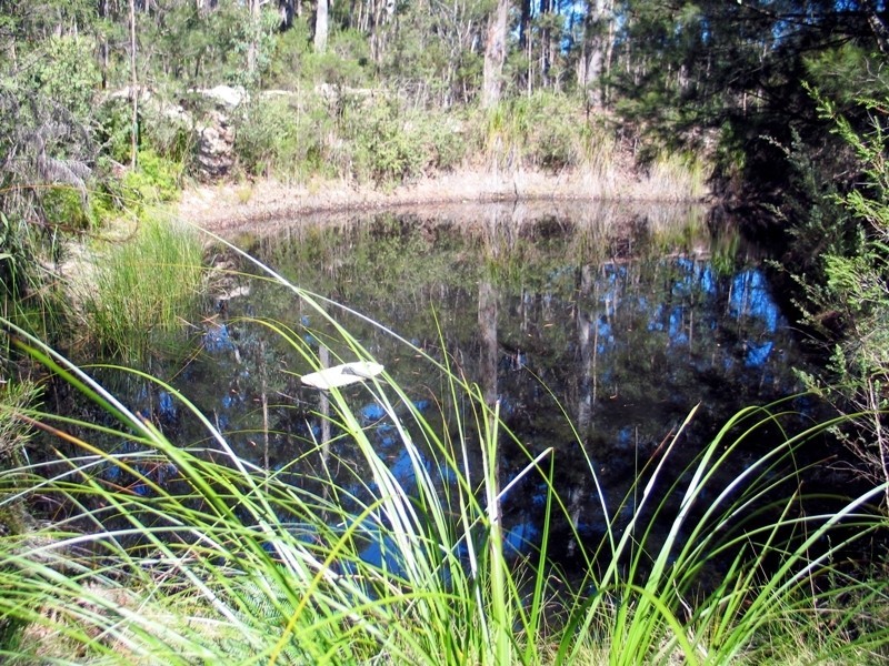 23 Penuca Rd, Wallagoot NSW 2550