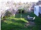 14 Manning Street, Bega NSW 2550