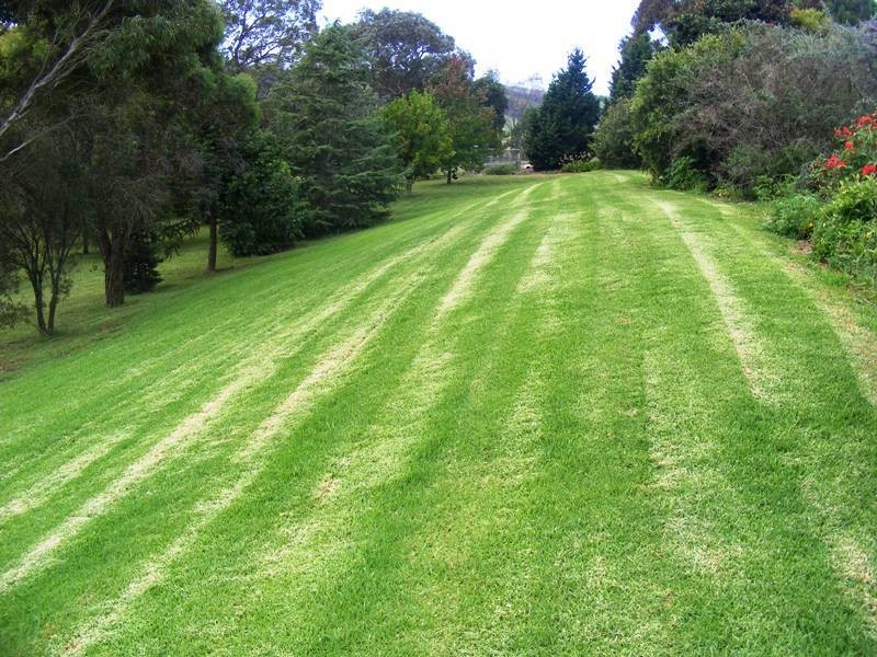 42 Darcy Lane, Jellat Jellat NSW 2550