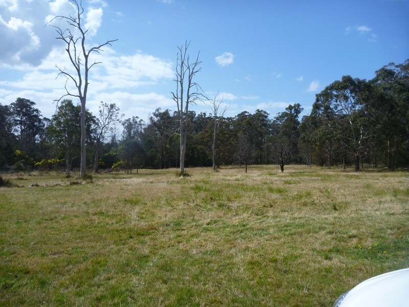 99 Wallagoot Lane, Wallagoot NSW 2550