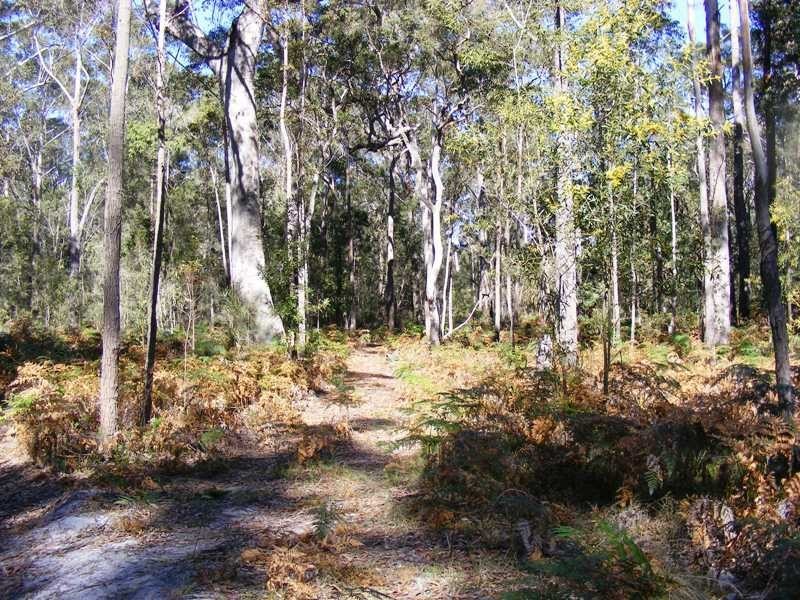 23 Penuca Road, Wallagoot NSW 2550