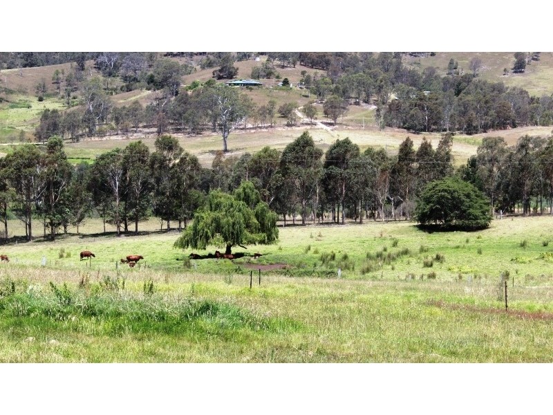 613 Tantawangalo Lane, Tantawangalo NSW 2550