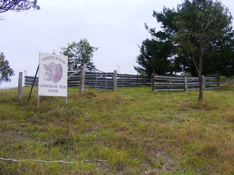 613 Tantawangalo Lane, Tantawangalo NSW 2550