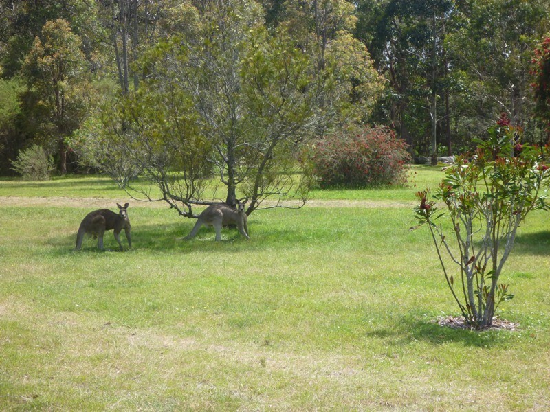 32  Tickalara Close, Bournda NSW 2550