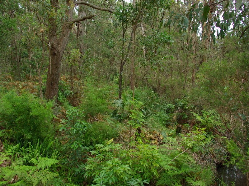 32  Tickalara Close, Bournda NSW 2550