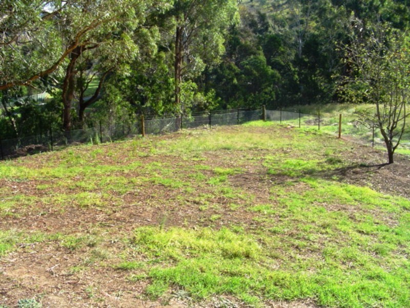 1-7 William St, Candelo NSW 2550