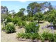 1444 Candelo Wolumla Rd, Bega NSW 2550