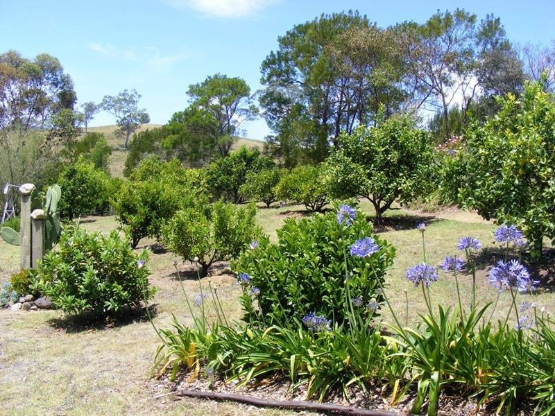 1444 Candelo Wolumla Rd, Bega NSW 2550