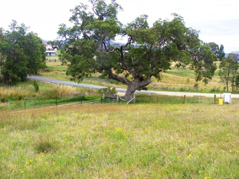 9  Broad St, Bemboka NSW 2550