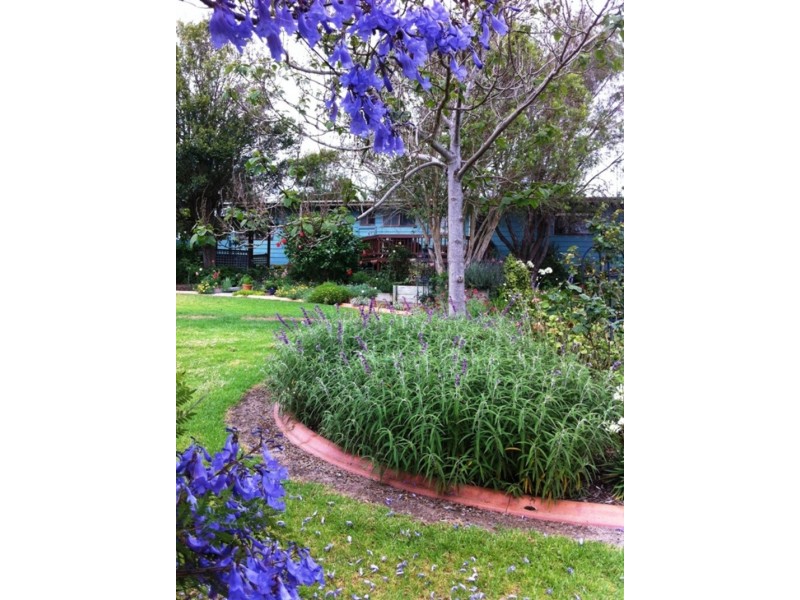 1306 Candelo- Wolumla Rd, Candelo NSW 2550