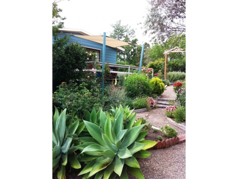 1306 Candelo- Wolumla Rd, Candelo NSW 2550