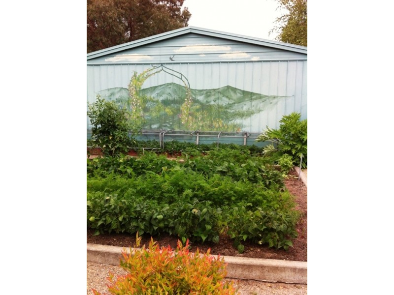 1306 Candelo- Wolumla Rd, Candelo NSW 2550