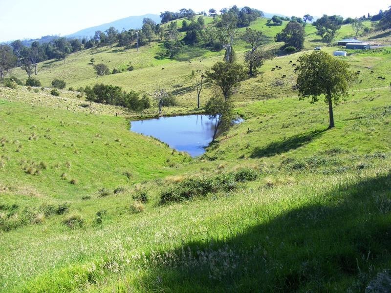 81 Yowrie Road, Cobargo NSW 2550