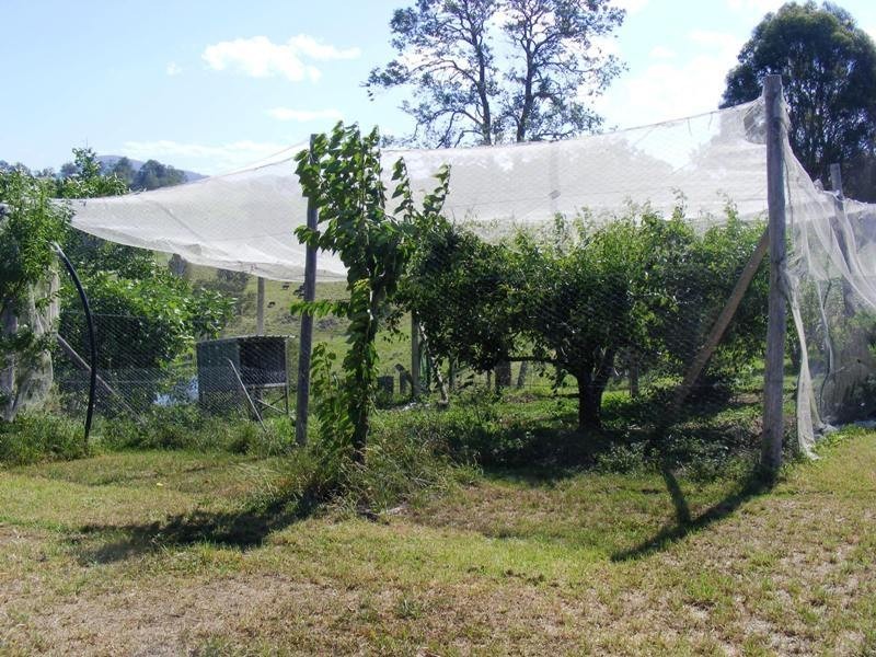 81 Yowrie Road, Cobargo NSW 2550