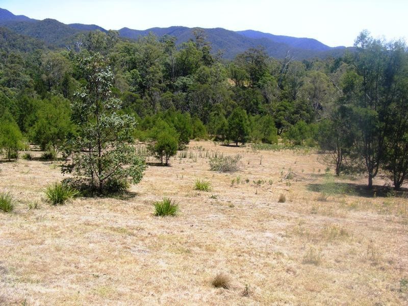 344 Murrabrine Forest Rd, Yowrie NSW 2550