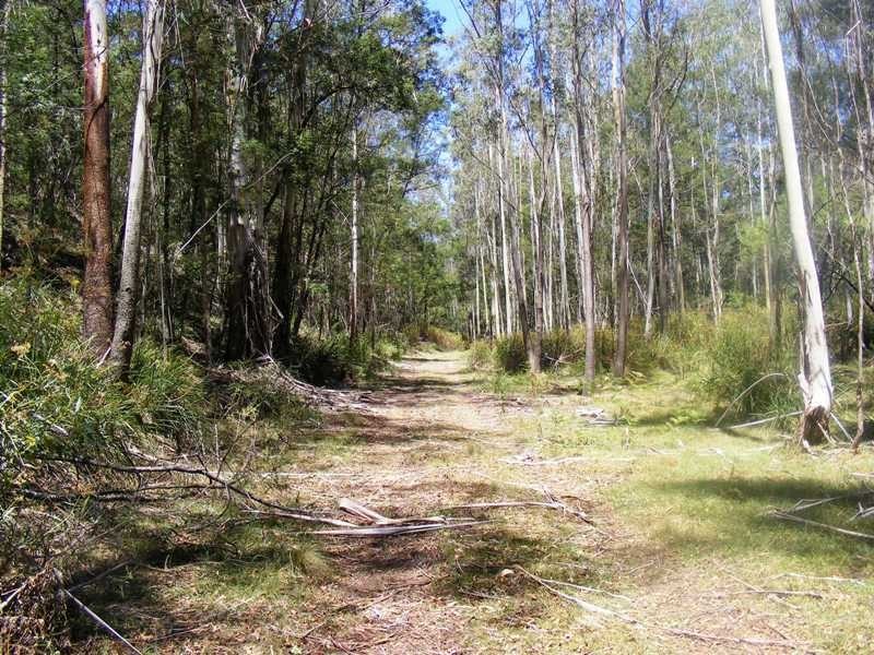 344 Murrabrine Forest Rd, Yowrie NSW 2550