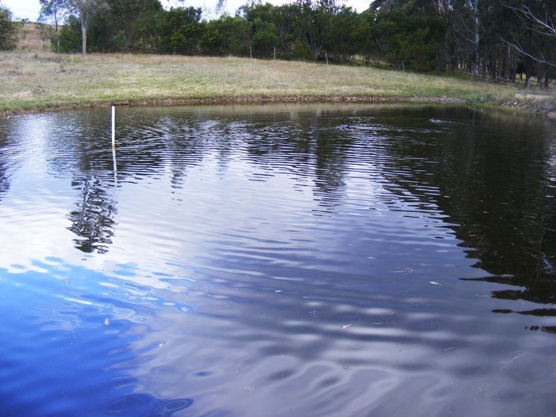 525 Candelo- Wolumla Rd, Wolumla NSW 2550