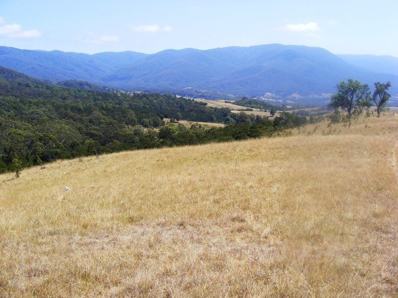 ‘Ooranook Park’ Barretts Rd, Bemboka NSW 2550