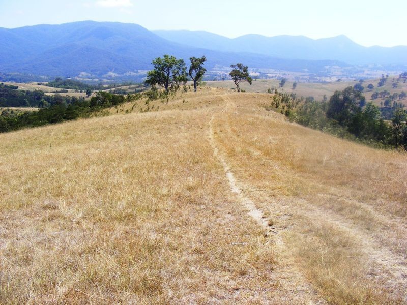 ‘Ooranook Park’ Barretts Rd, Bemboka NSW 2550