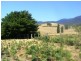 ‘Ooranook Park’ Barretts Rd, Bemboka NSW 2550
