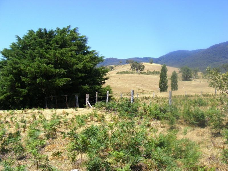 ‘Ooranook Park’ Barretts Rd, Bemboka NSW 2550