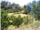 ‘Ooranook Park’ Barretts Rd, Bemboka NSW 2550