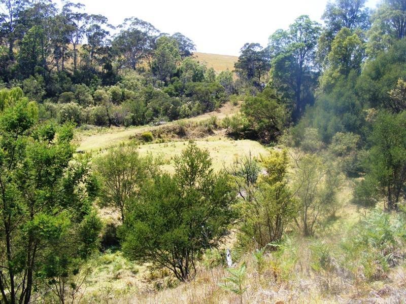 ‘Ooranook Park’ Barretts Rd, Bemboka NSW 2550