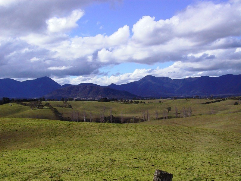 718 Filmer-Williams Rd, Mogilla NSW 2550