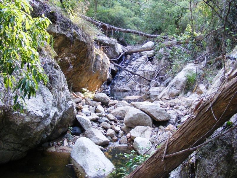 718 Filmer-Williams Rd, Mogilla NSW 2550