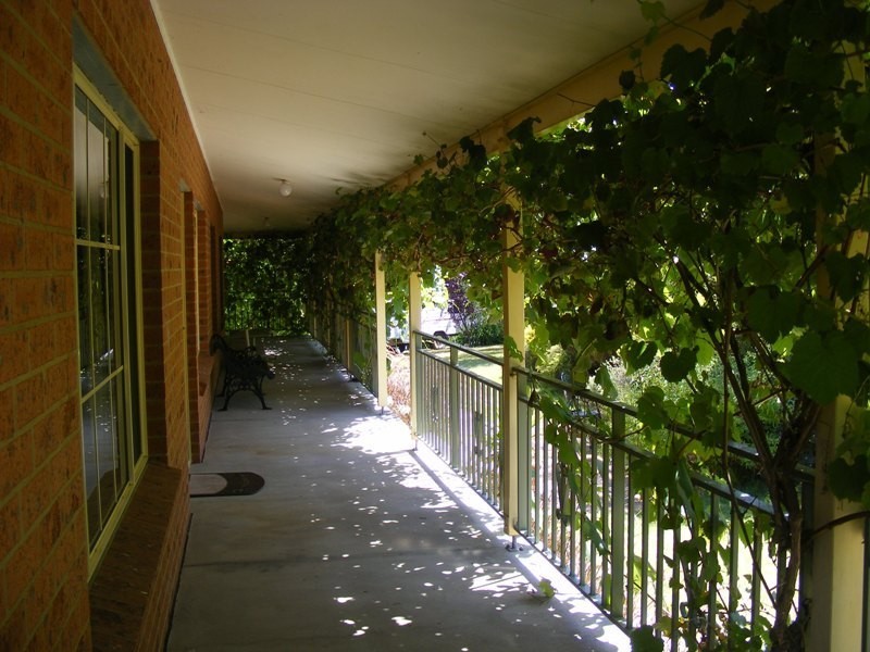 9 Annabelle Close, Wolumla NSW 2550