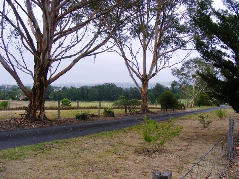 8 Moore Wrens Rd, Tarraganda NSW 2550