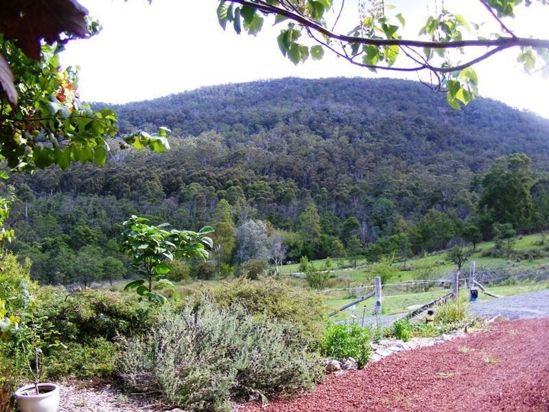 270  Moons Rd, Bemboka NSW 2550