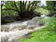 270  Moons Rd, Bemboka NSW 2550