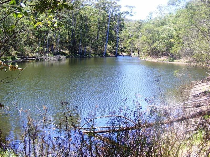 344 Murrabrine Forest Rd, Yowrie NSW 2550