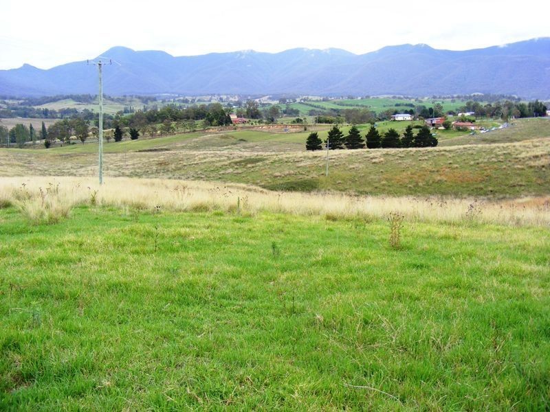 Lot 131  Barretts Rd, Bemboka NSW 2550