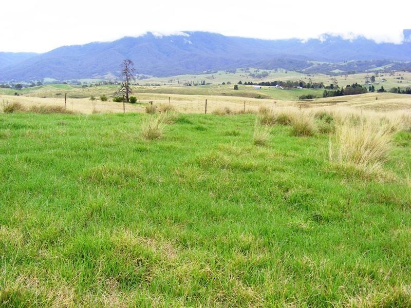 Lot 131  Barretts Rd, Bemboka NSW 2550