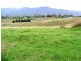 Lot 131  Barretts Rd, Bemboka NSW 2550