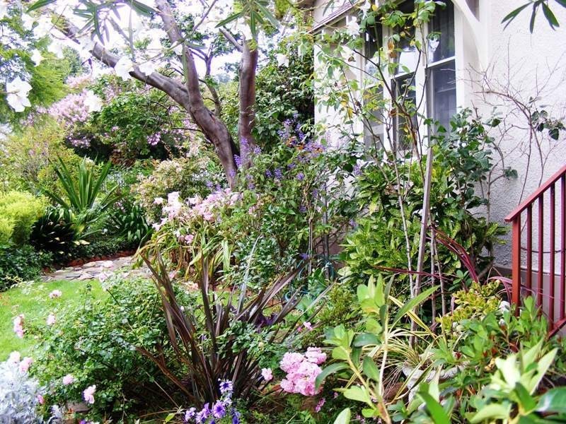 71 Parker Street, Bega NSW 2550