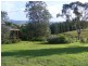 178 Wyndham Lane, Toothdale NSW 2550
