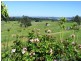 31 Manam Rd, Tarraganda NSW 2550