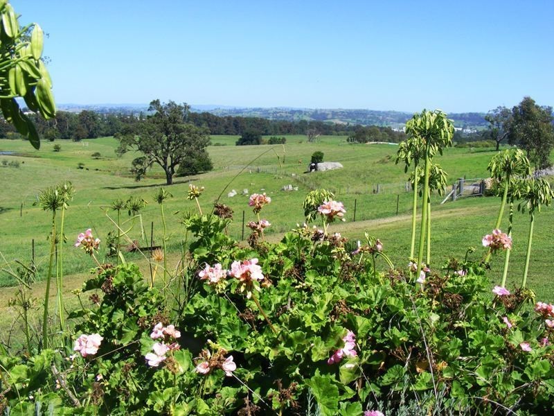 31 Manam Rd, Tarraganda NSW 2550