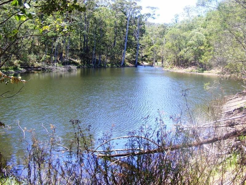 344  Murrabrine Forest Rd, Yowrie NSW 2550