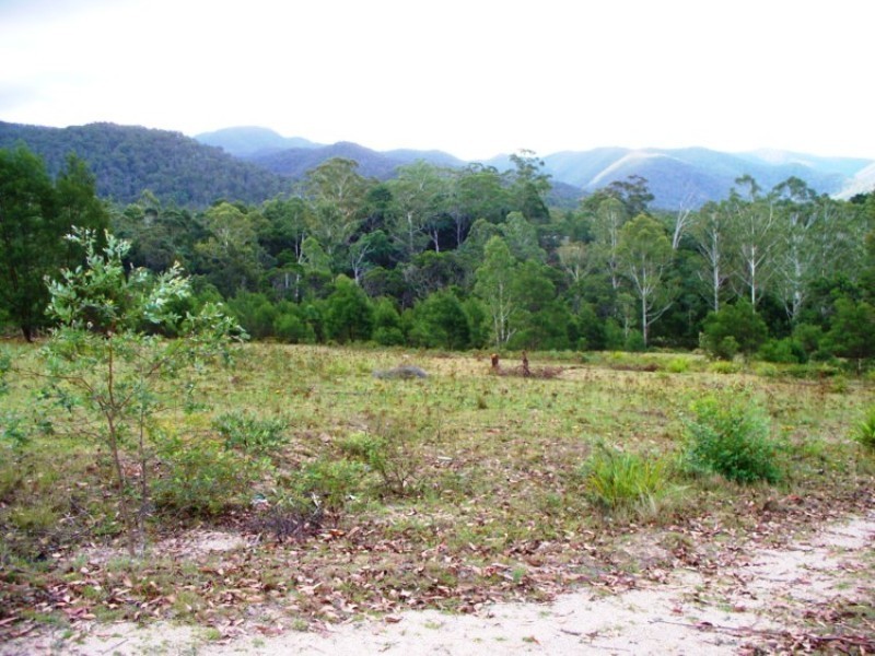 344  Murrabrine Forest Rd, Yowrie NSW 2550