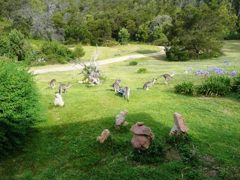 1376 Tantawangalo Mountain Rd, Tantawangalo NSW 2550